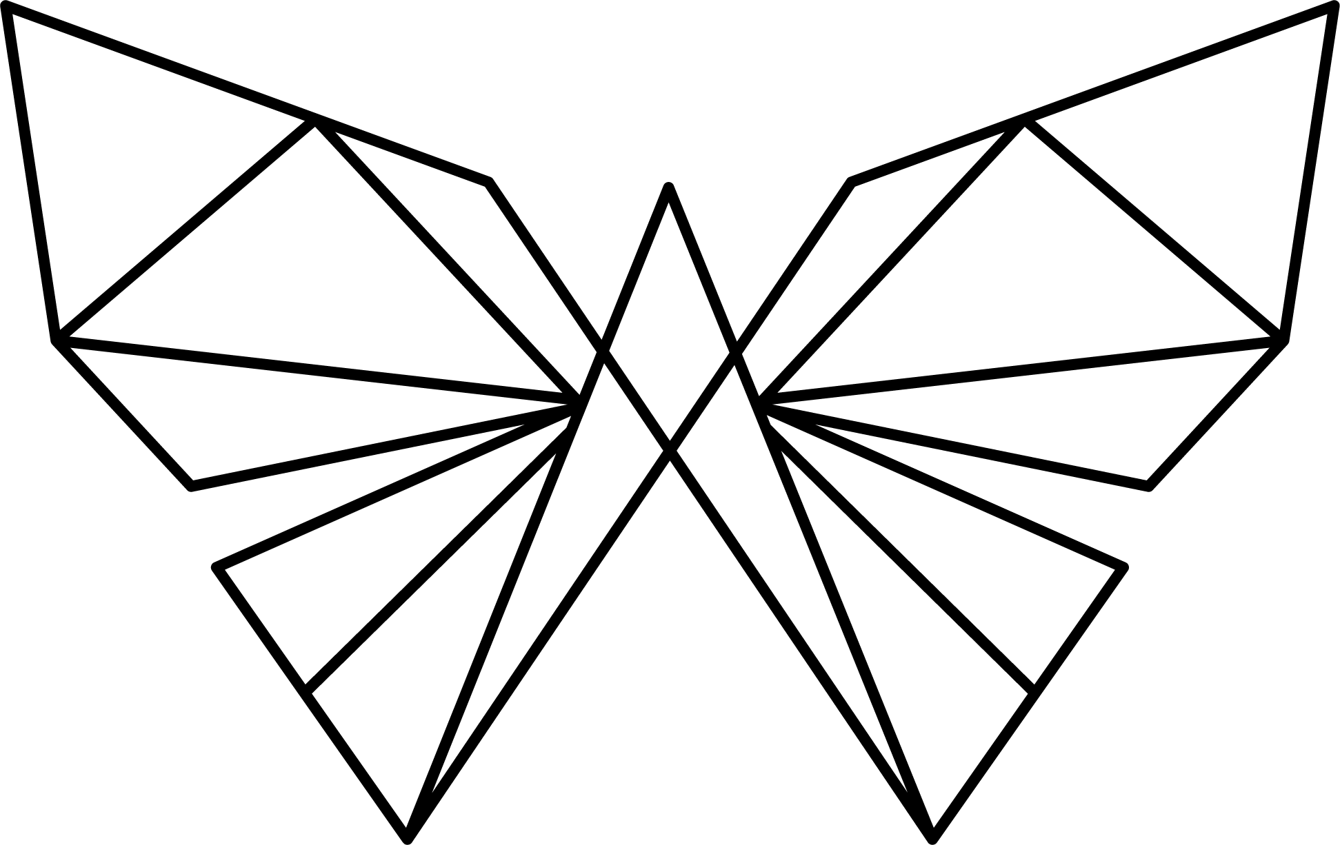 Papillon organigramme