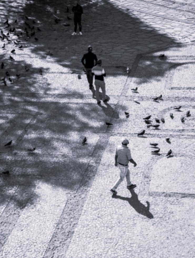 Dossier Coexistence urbaine